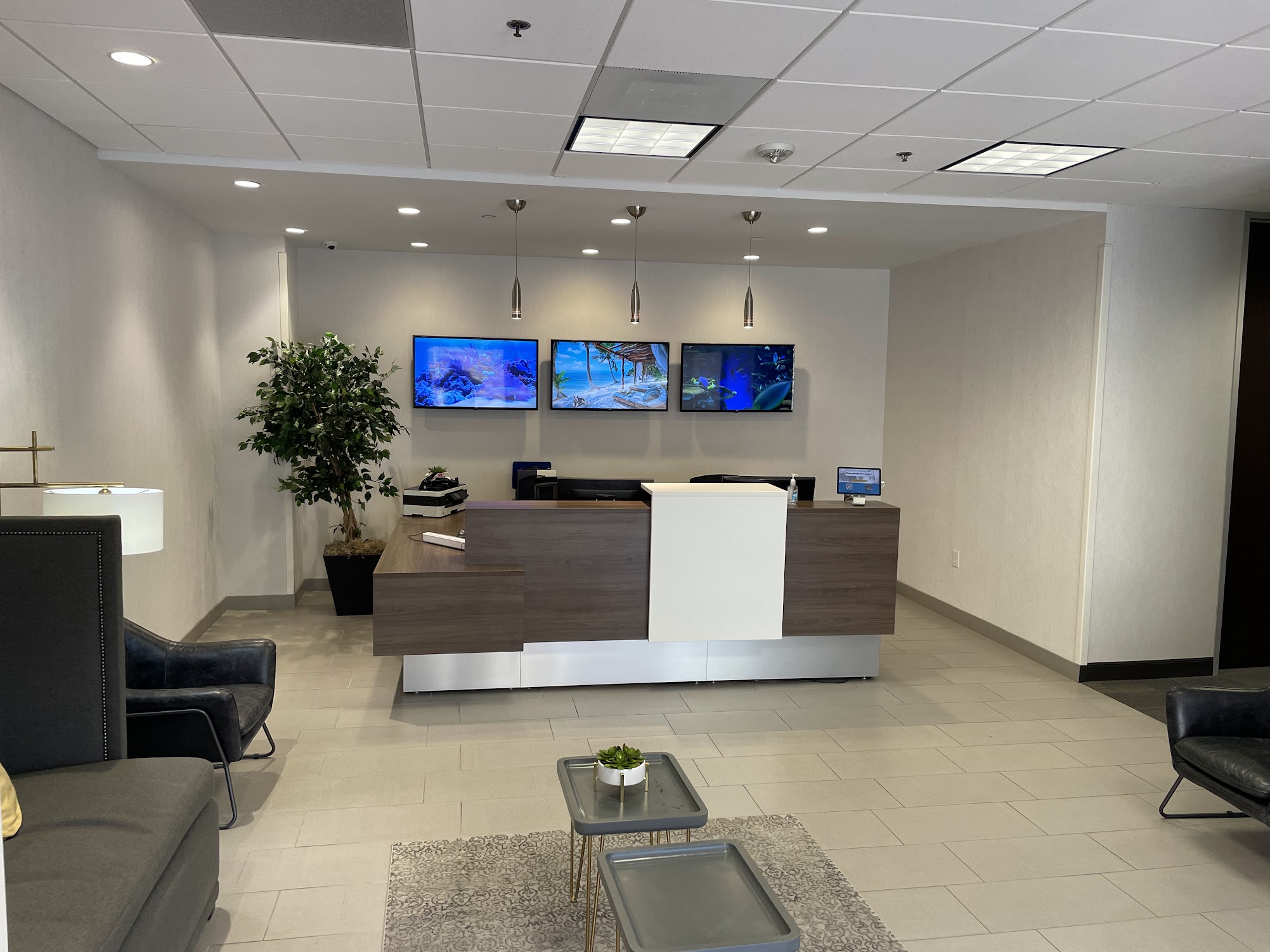 Newton Chiropractic office lobby in Irving, TX